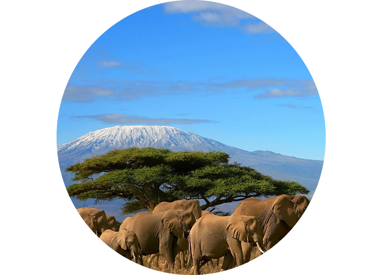 10 Days Safari to Kenya - With Amboseli 