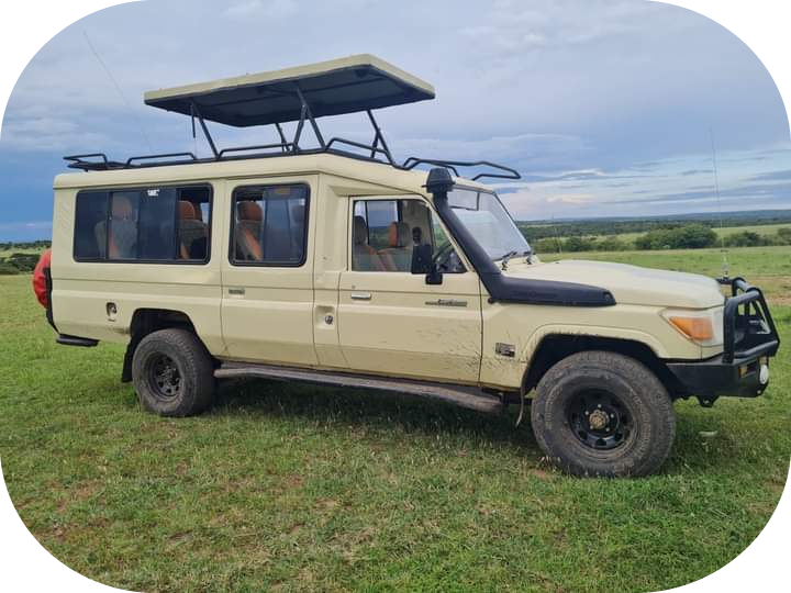 Tour with us in our 4×4 safari vehicles